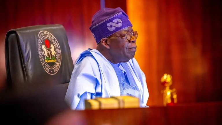 Tinubu’s Ban on Foreign Goods Seen as Major Boost for Nigerian Economy — Stakeholders Speak Out - Loadedmore.ng
