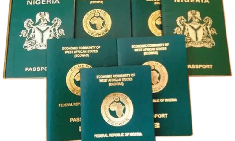 US grants over 34,000 Nigerians citizenship by naturalisation in 3yrs - Loadedmore.ng