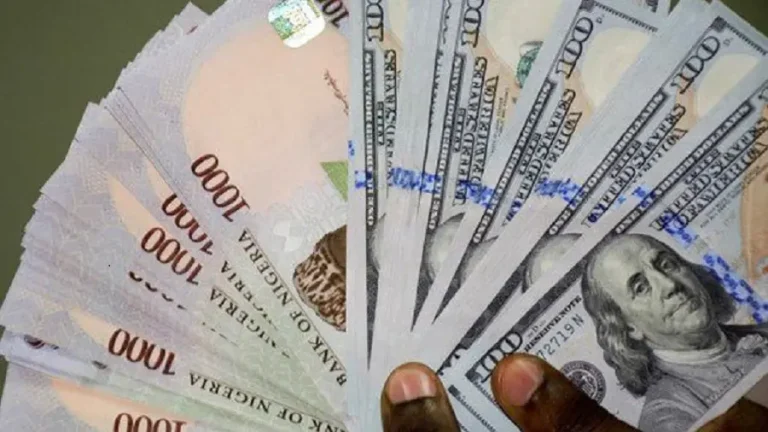 Naira Continues Slide Against Dollar Amid Growing FX Concerns - Loadedmore.ng