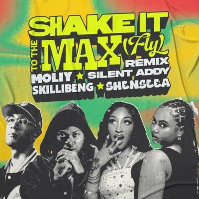 Moliy – Shake It To The Max (Remix) ft. Silent Addy, Skillibeng, Shenseea Mp3 Download audio