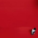 Nasty C – Leftie (Dlala Ngcobo) ft. Blxckie - Loadedmore.ng