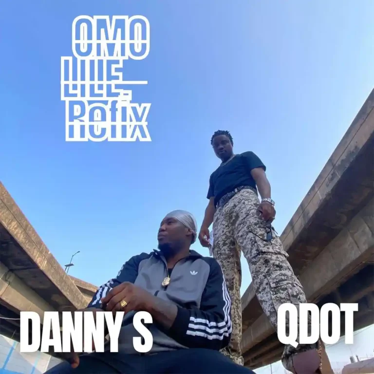 Danny S – Omo Lile (Refix) ft. Qdot - Loadedmore.ng