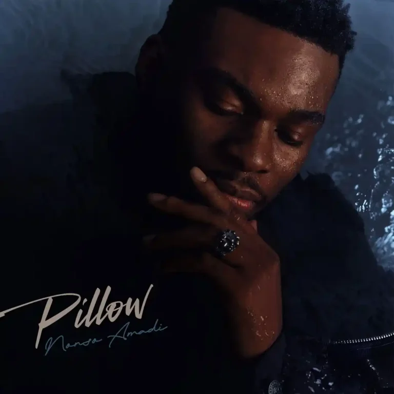 Nonso Amadi – PILLOW - Loadedmore.ng