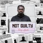 Terry Apala – Echoes Of Pain